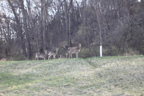Xxxxb Kings Park Road NW Oronoco Twp MN 55960