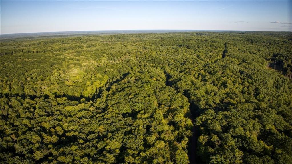 1923 Acres County Highway C & Comet Road Acres County Exeland WI 54835