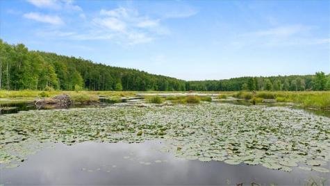 1923 Acres County Highway C & Comet Road Acres County Exeland WI 54835