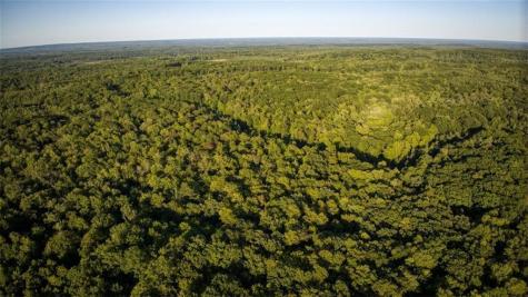 1923 Acres County Hwy C & Comet Rd Acres County Exeland WI 54835