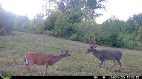 1923 Acres County Highway C & Comet Road Acres County Exeland WI 54835