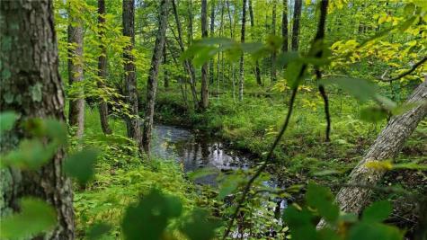 1923 Acres County Highway C & Comet Road Acres County Exeland WI 54835