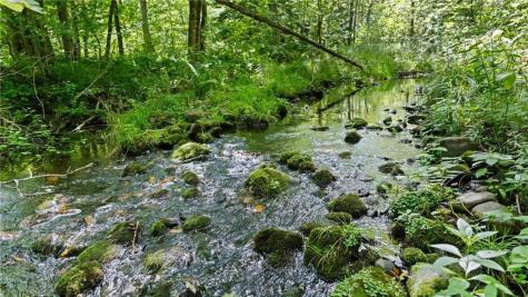 1923 Acres County Highway C & Comet Road Acres County Exeland WI 54835