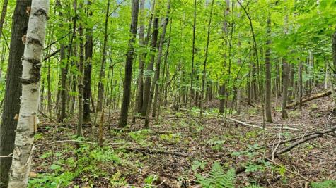 1923 Acres County Highway C & Comet Road Acres County Exeland WI 54835