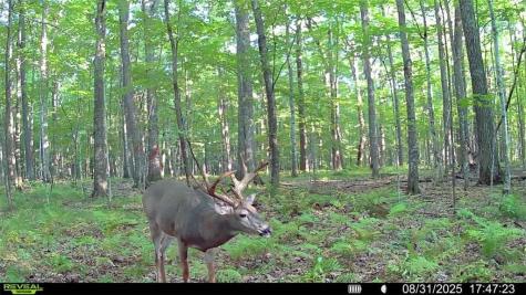 1923 Acres County Highway C & Comet Road Acres County Exeland WI 54835