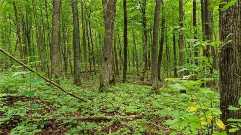 1923 Acres County Highway C & Comet Road Acres County Exeland WI 54835