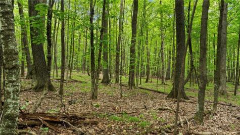 1923 Acres County Highway C & Comet Road Acres County Exeland WI 54835