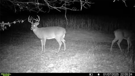 1923 Acres County Highway C & Comet Road Acres County Exeland WI 54835