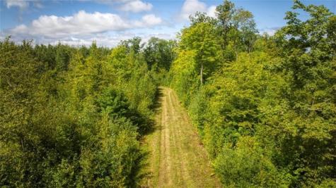 1923 Acres County Highway C & Comet Road Acres County Exeland WI 54835