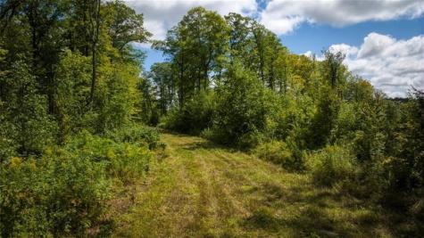 1923 Acres County Highway C & Comet Road Acres County Exeland WI 54835
