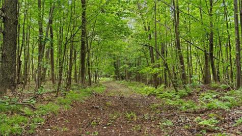 1923 Acres County Highway C & Comet Road Acres County Exeland WI 54835