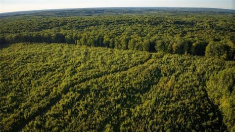 1923 Acres County Highway C & Comet Road Acres County Exeland WI 54835