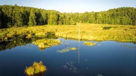 1923 Acres County Highway C & Comet Road Acres County Exeland WI 54835