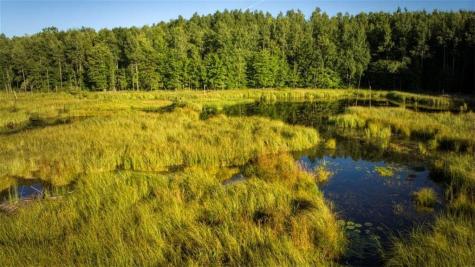 1923 Acres County Highway C & Comet Road Acres County Exeland WI 54835