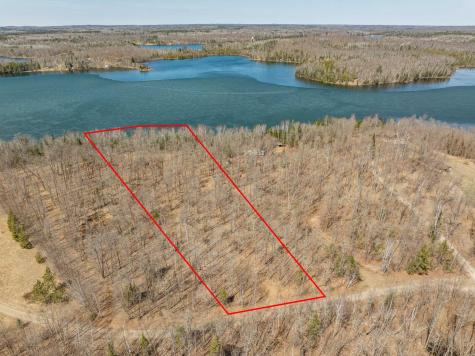 32478 Wakeman Shores Drive Grand Rapids MN 55744