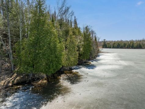 32478 Wakeman Shores Drive Grand Rapids MN 55744