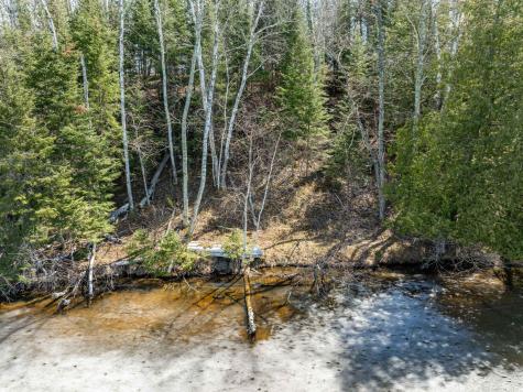 32478 Wakeman Shores Drive Grand Rapids MN 55744