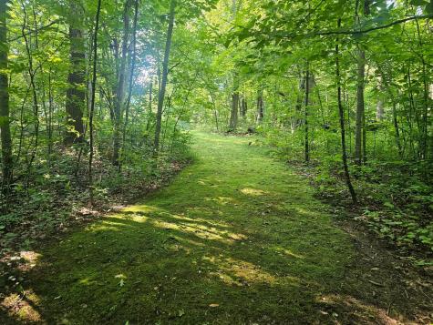 Tbd Lot 2 Bunny Lane Crosby MN 56441