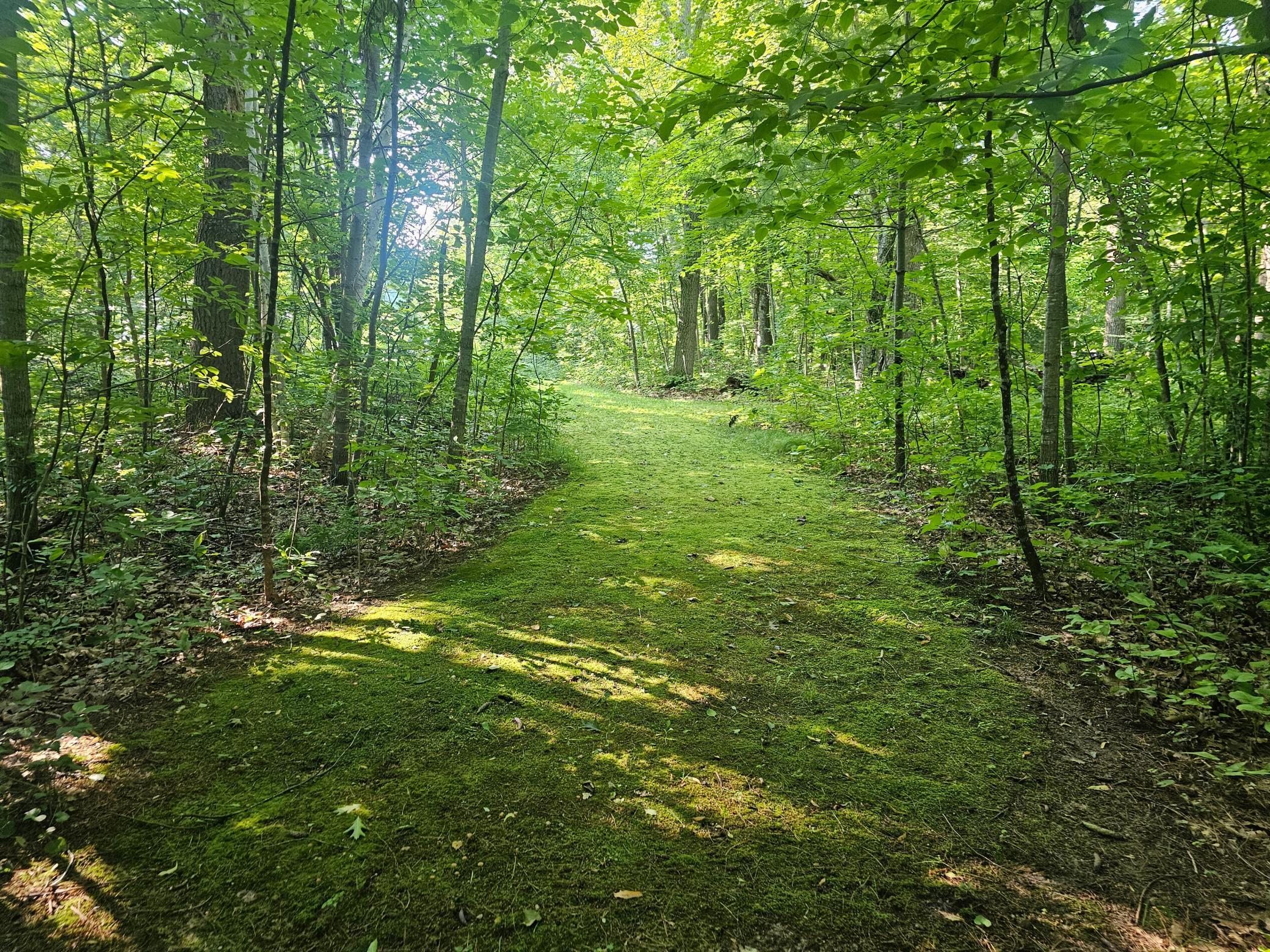 Tbd Lot 2 Bunny Lane Crosby MN 56441