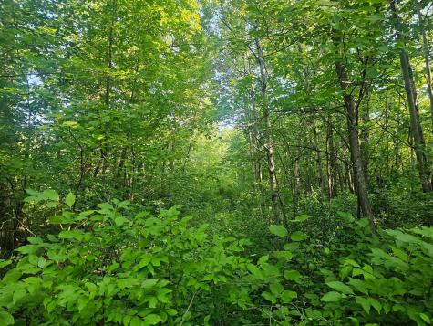 Tbd Lot 2 Bunny Lane Crosby MN 56441