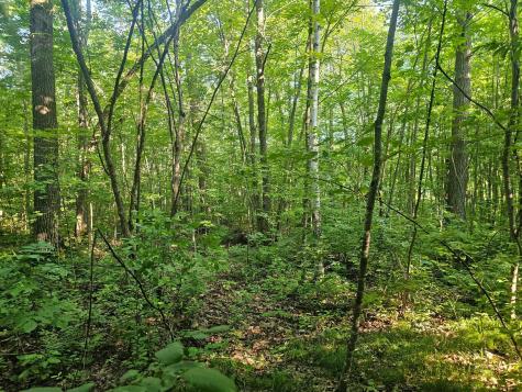 Tbd Lot 2 Bunny Lane Crosby MN 56441