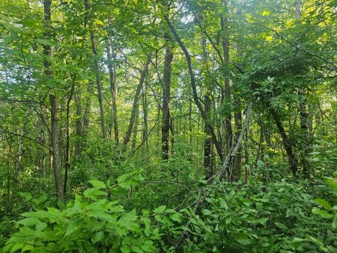 Tbd Lot 2 Bunny Lane Crosby MN 56441