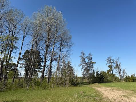 Tbd County Road 14 Sebeka MN 56477