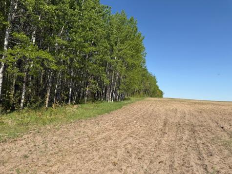 Tbd County Road 14 Sebeka MN 56477