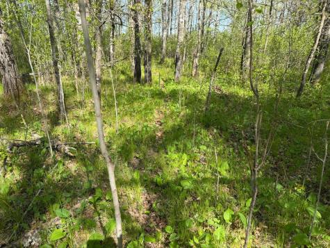 Tbd County Road 14 Sebeka MN 56477
