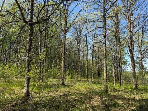 Tbd County Road 14 Sebeka MN 56477