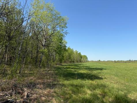 Tbd County Road 14 Sebeka MN 56477