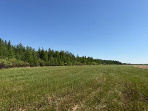 Tbd County Road 14 Sebeka MN 56477