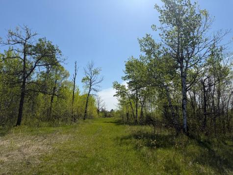 Tbd County Road 14 Sebeka MN 56477