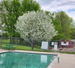 2945 County Road 4 #65 SW Cokato MN 55321
