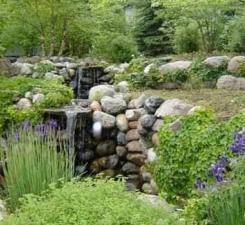 2945 County Road 4 #65 SW Cokato MN 55321