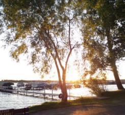 2945 County Road 4 #65 SW Cokato MN 55321