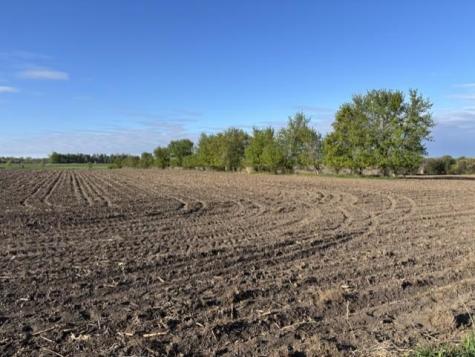 Tbd Island Estates (site 12) Drive NW Pine Island MN 55963