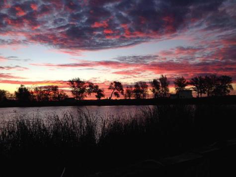 64.4 Acres Westridge Lane Hoffman MN 56339