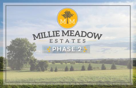 4390 Millie Meadow Drive SW Rochester MN 55902