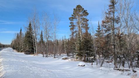 Tbd Highway 22 Cook MN 55703