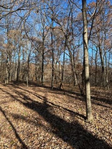 Xxx 263rd Street Franconia Twp MN 55074