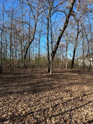Xxx 263rd Street Franconia Twp MN 55074