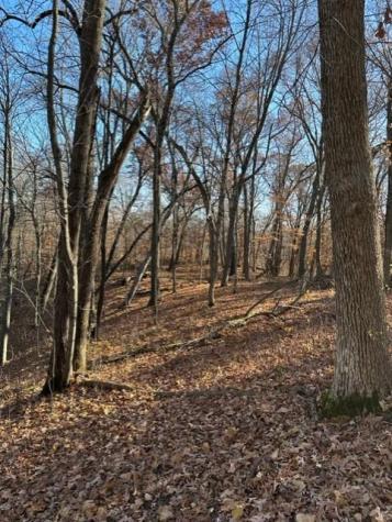 Xxx 263rd Street Franconia Twp MN 55074