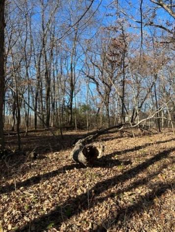 Xxx 263rd Street Franconia Twp MN 55074