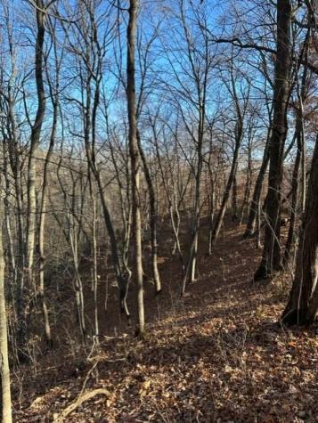 Xxx 263rd Street Franconia Twp MN 55074