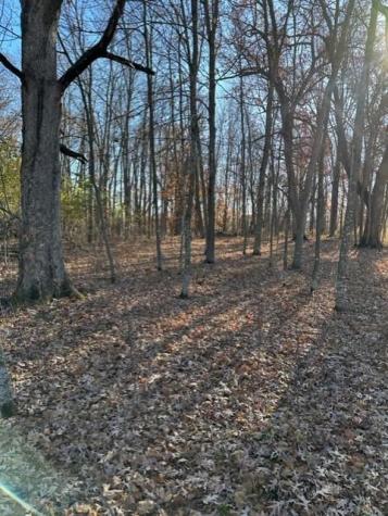 Xxx 263rd Street Franconia Twp MN 55074