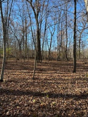 Xxx 263rd Street Franconia Twp MN 55074