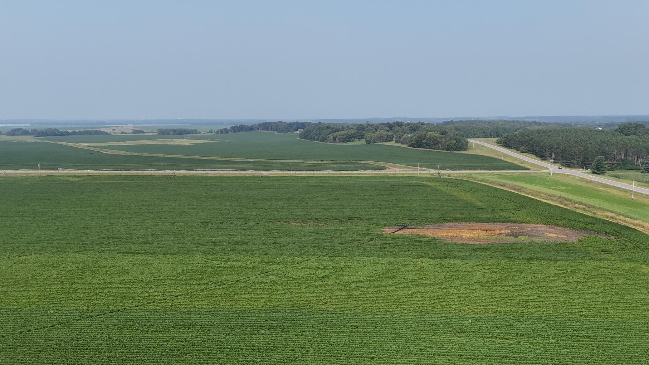 0000 County 61 Browerville MN 56438