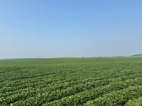 0000 County 61 Browerville MN 56438