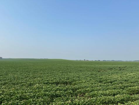 0000 County 61 Browerville MN 56438